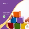 Εκπαίδευση Στις Ψυχομετρικές Δοκιμασίες WISC – V